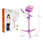 Dream Star Karaoke Microphone Play Set for kids 3+ Years, Pink