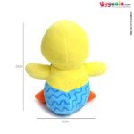 Duck toy for kids