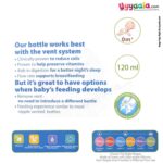 Dr Browns feeding Bottle with vent narrow neck 120ml, 0+m