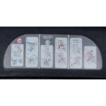 R for Rabbit Jack N Jill Grand - The Innovative Convertible Car Seat for Baby/Kids (from 0-7 Years)