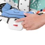 FISHER PRICE baby bouncer soothing & fun all in one