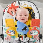 FISHER PRICE baby bouncer soothing & fun all in one