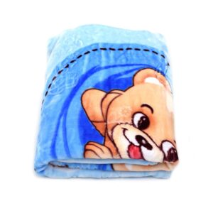 Blanket Mint Velvet Jerry Print 0-24m