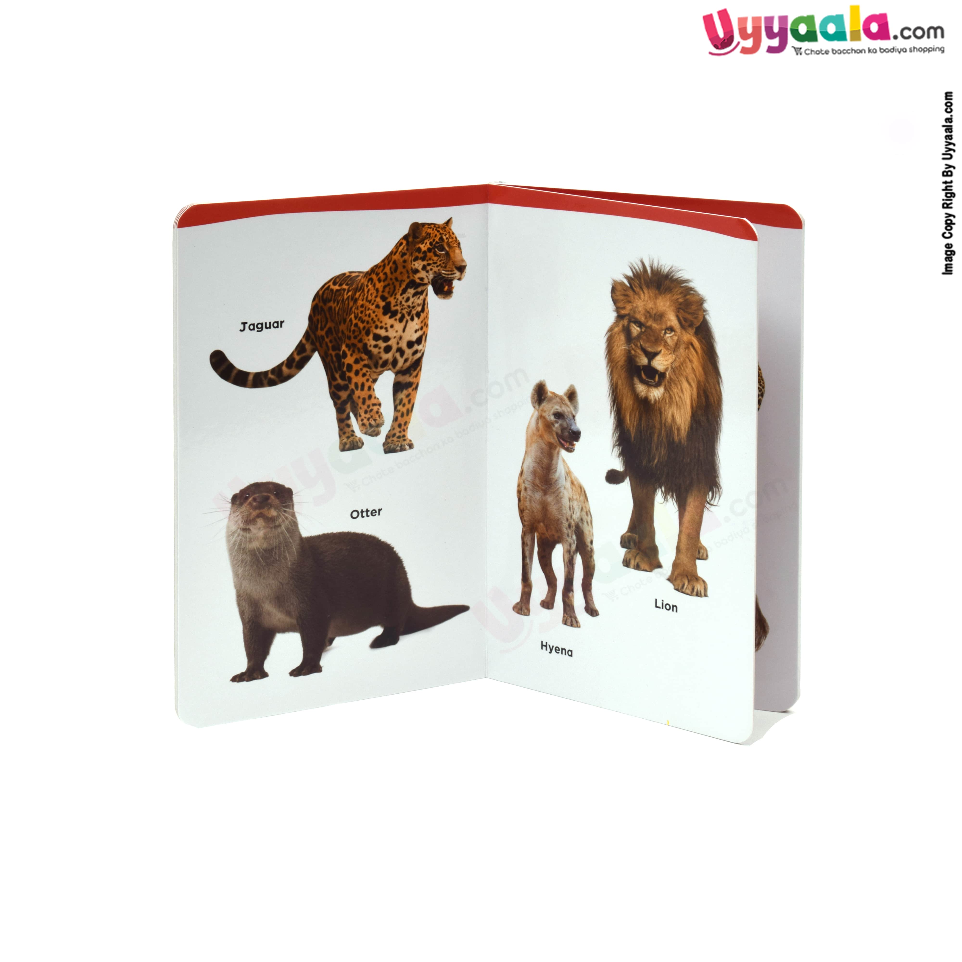 My small board book - wild animals