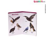 My small board book pack of 2 - birds & numbers