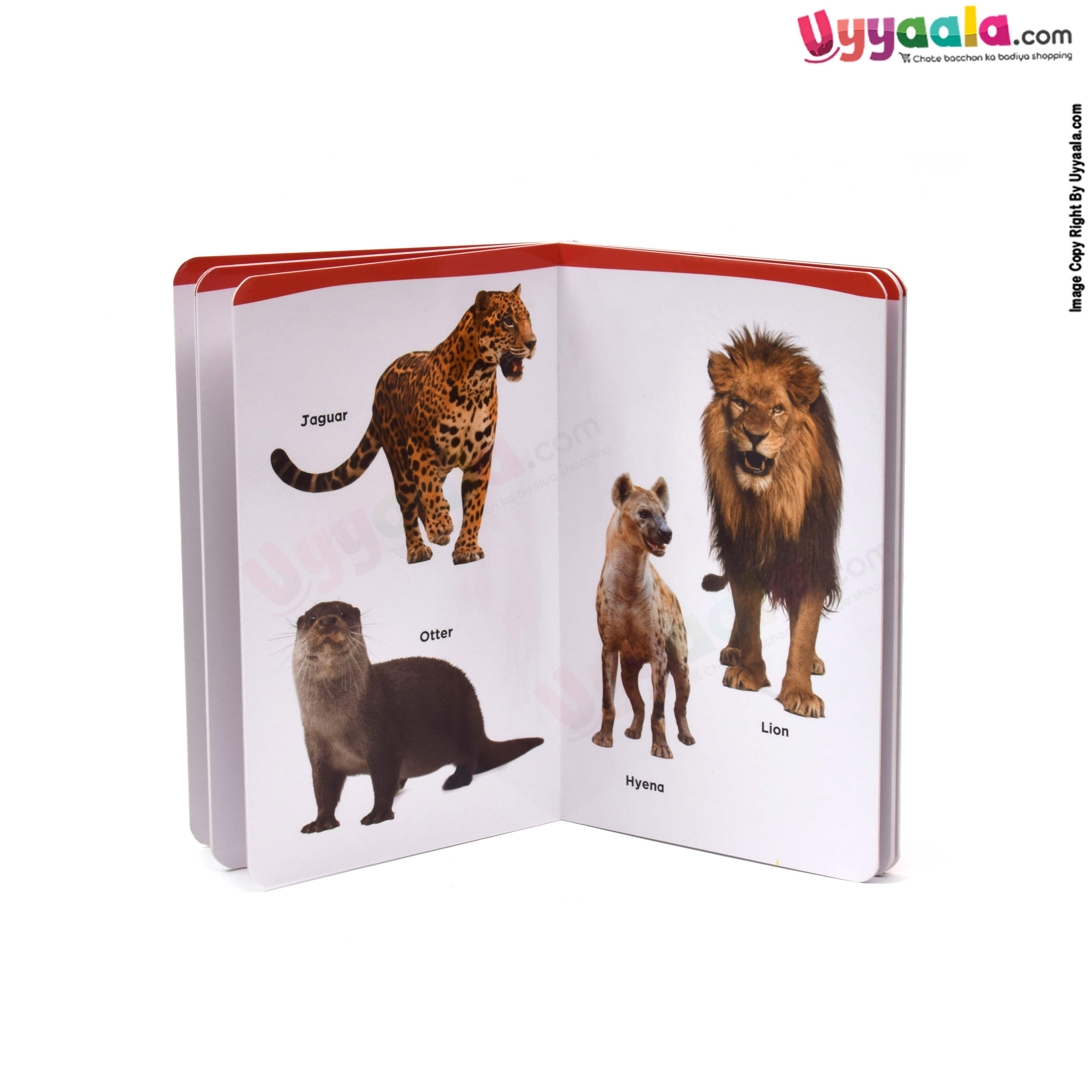 My small board book pack of 2 - wild animals & numbers