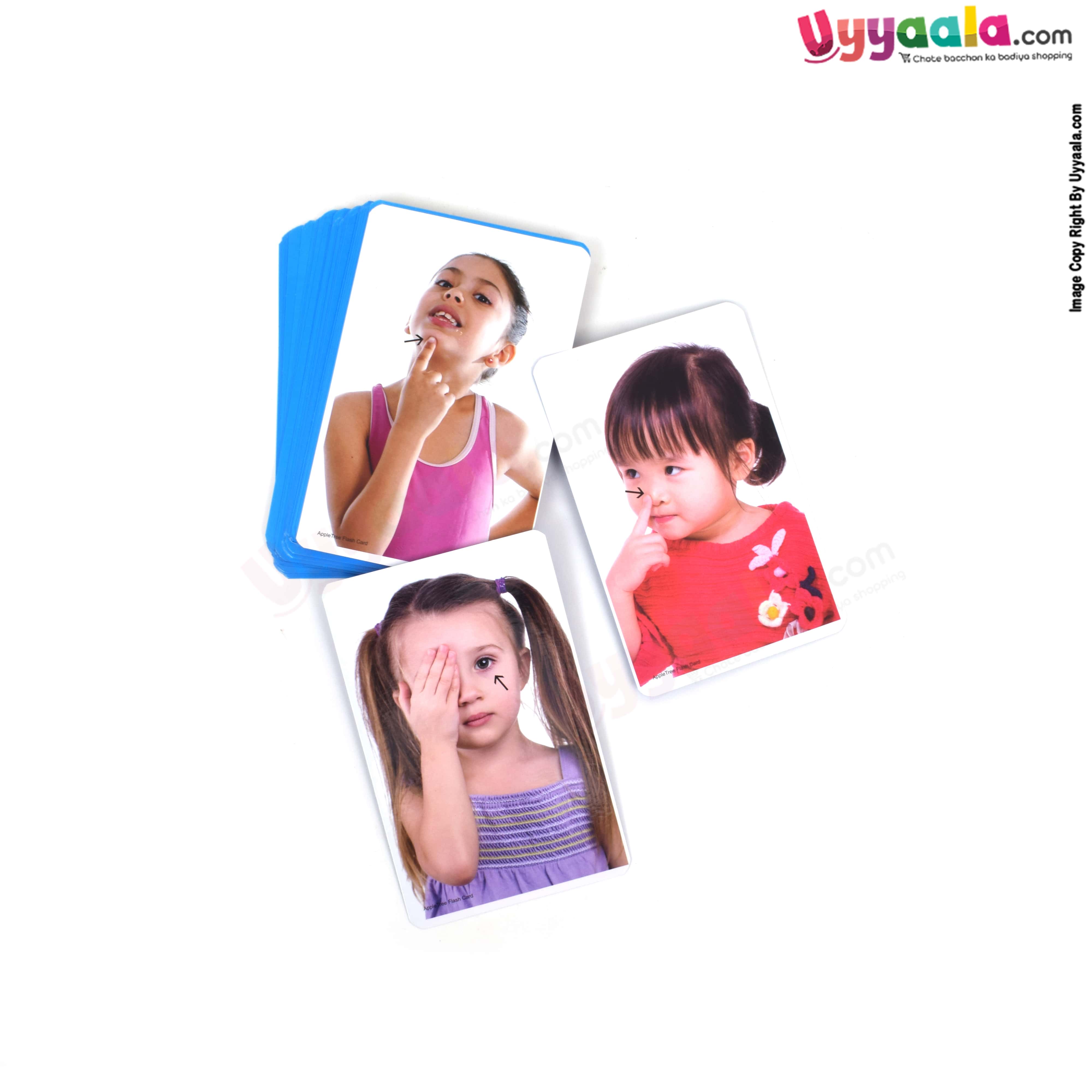 APPLE TREE flash cards Parts of the body