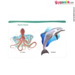 My first board book domestic & aqua animals