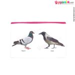 NAVNEET my first board book birds