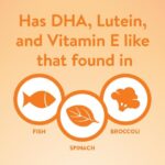 Abott Similac go & grow drink Sensitive Toddler Drink For Lactose Sensitivity - 661g, 12-36m