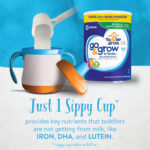 ABBOTT Similac Go & Grow Toddler Drink, Milk Based Powder - 873g, 12-36m